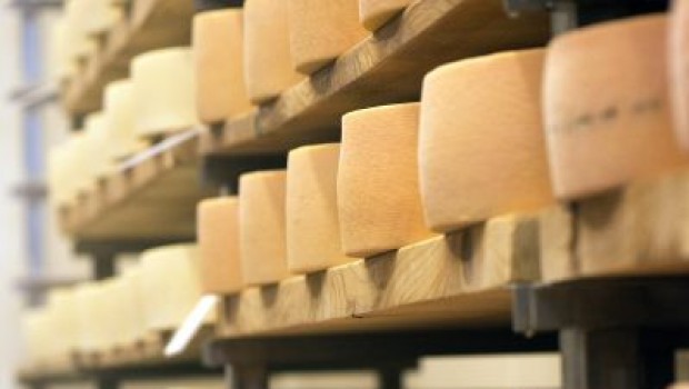 Les fromages canadiens à l’honneur